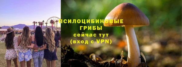 героин Алзамай