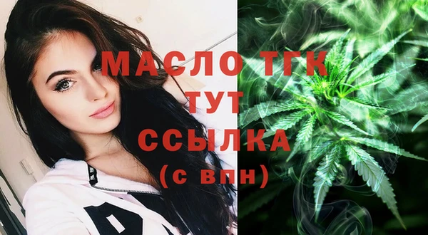 СК Алексин